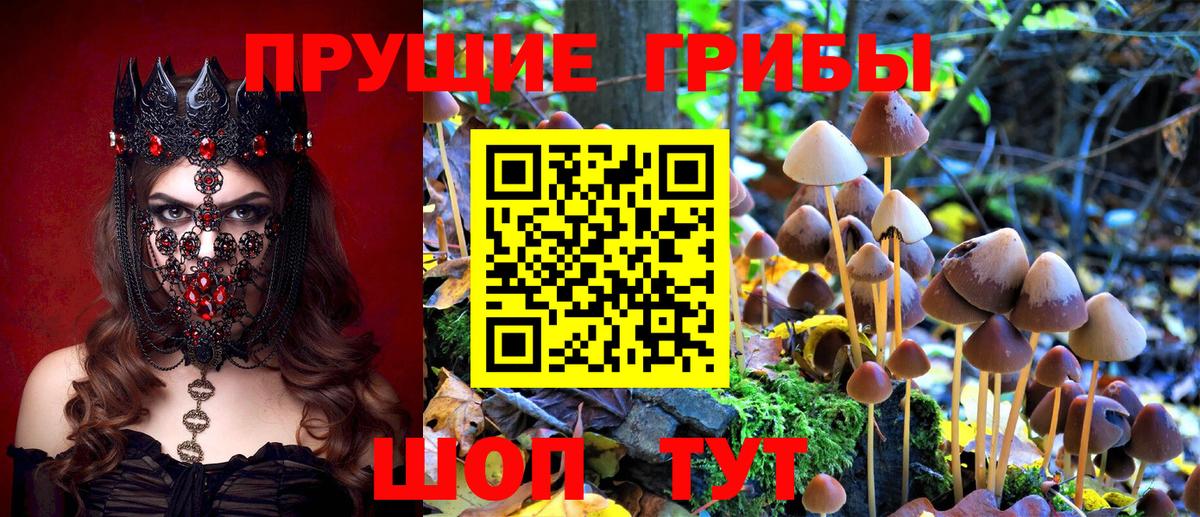 Комсомольск-на-Амуре  Галлюциногенные грибы Magic Shrooms  Галлюциногенные грибы прущие грибы  Вход с VPN 